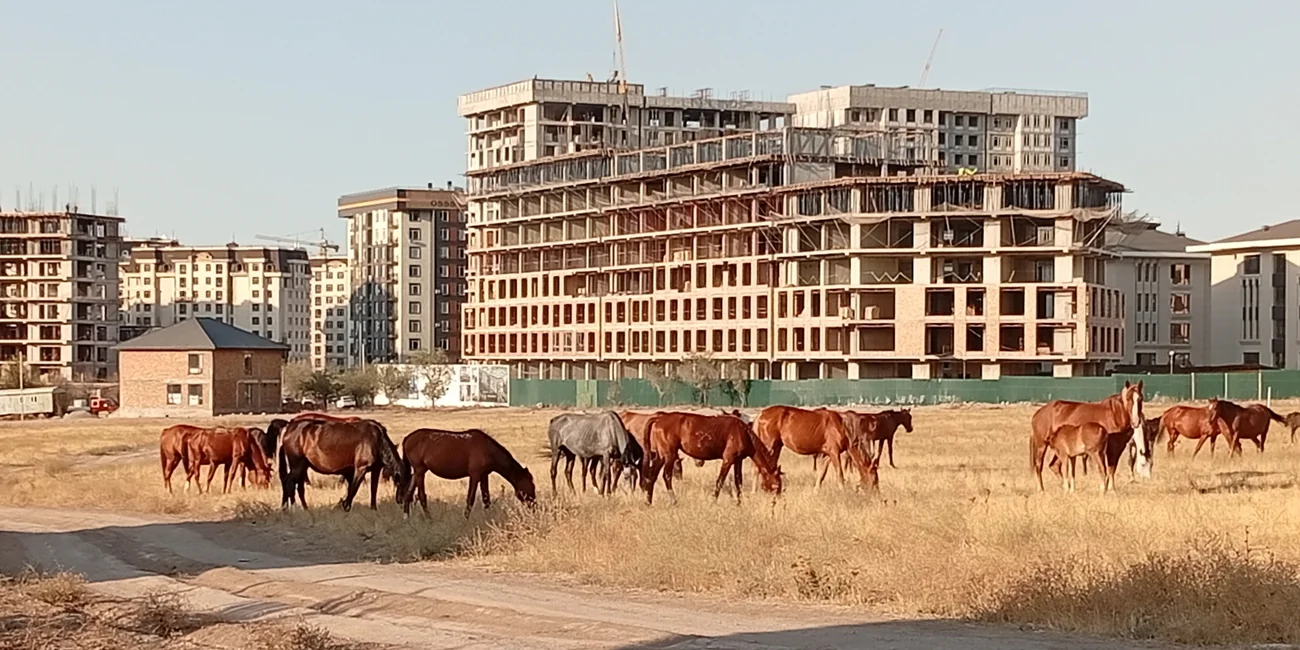 Бишкек.jpg