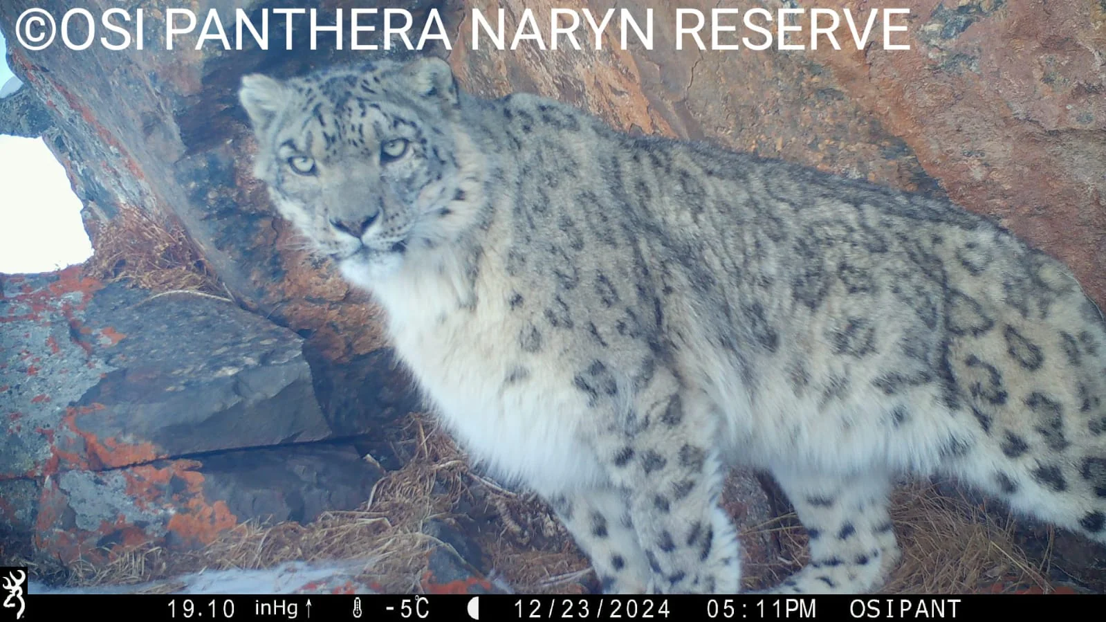 WhatsApp Image 2025-11-27 at 12.22.14.jpeg